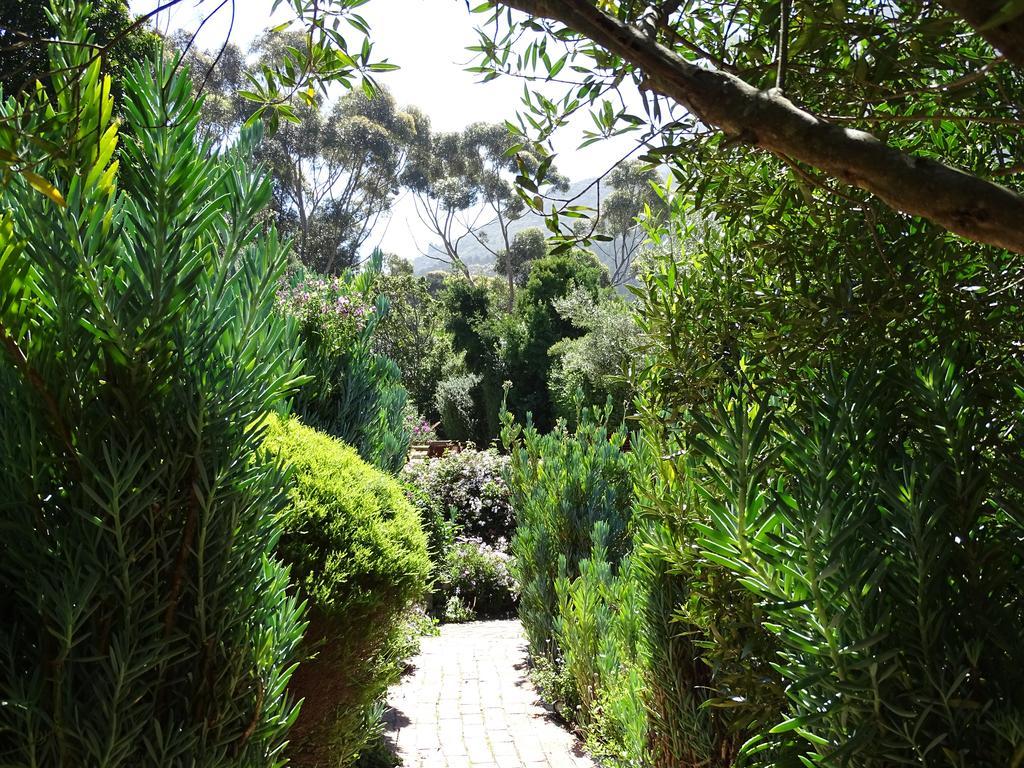 Intaba Lodge Hout Bay Exterior photo